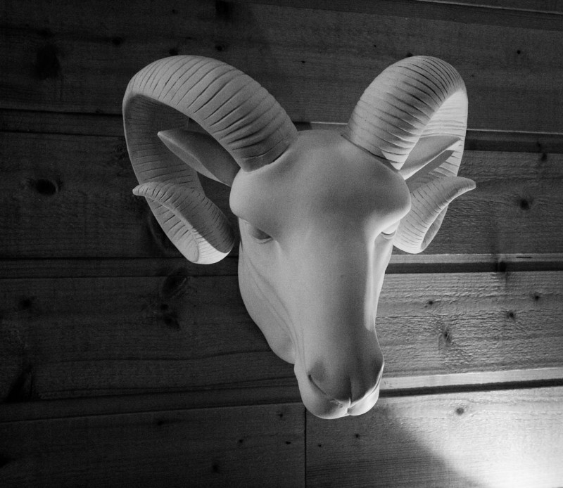 _clients_227360001_photos_121m_13027763